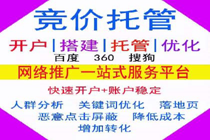 行业领先的SEM竞价广告投放案例